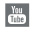 youtube_icon